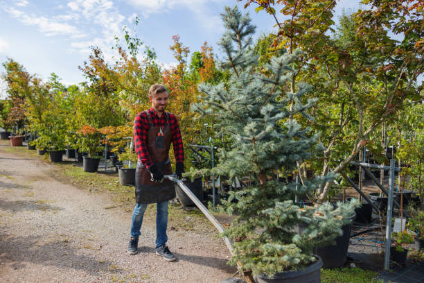 Best Aeration Services  in Fords, NJ